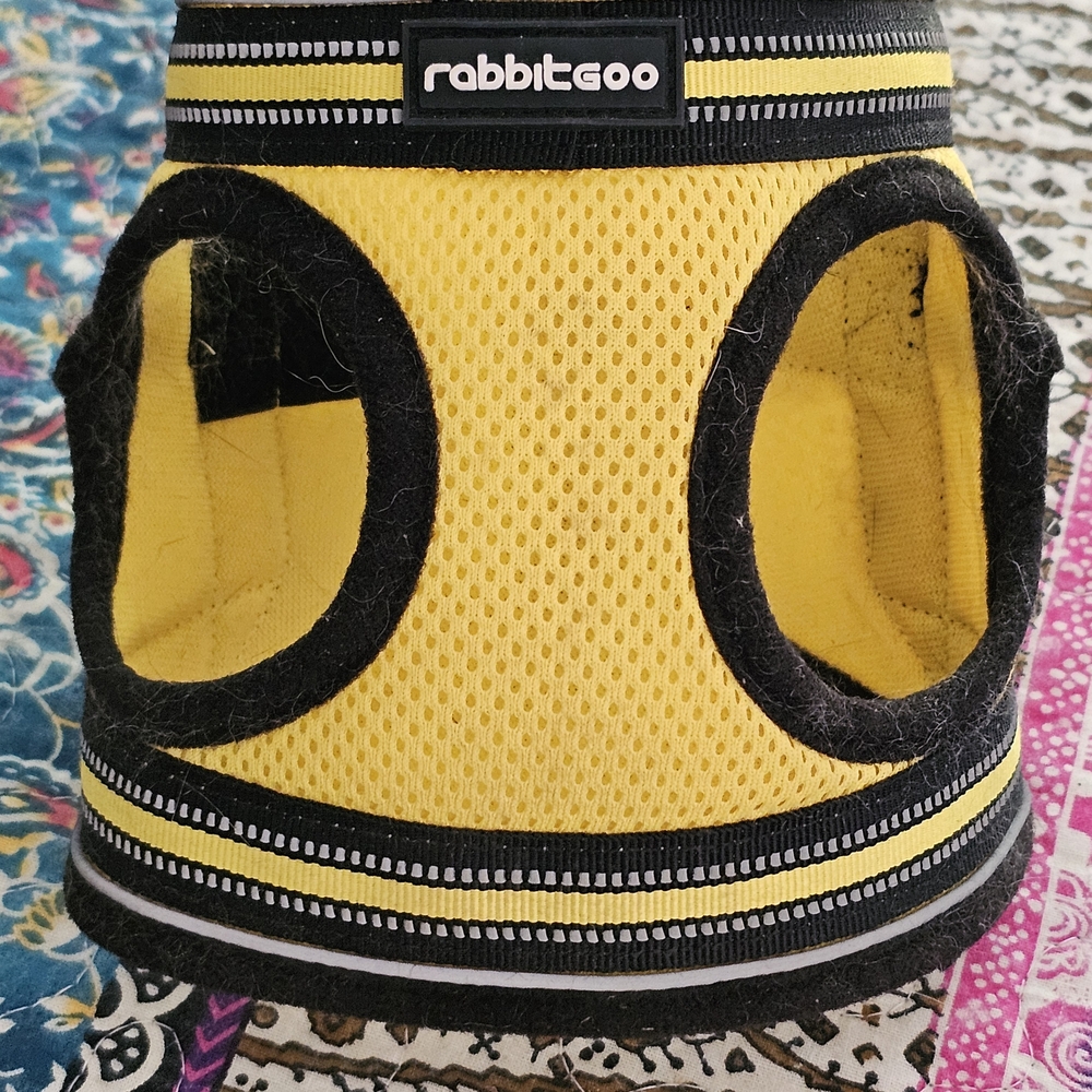Rabbitgoo Yellow and Black Cat Harness L